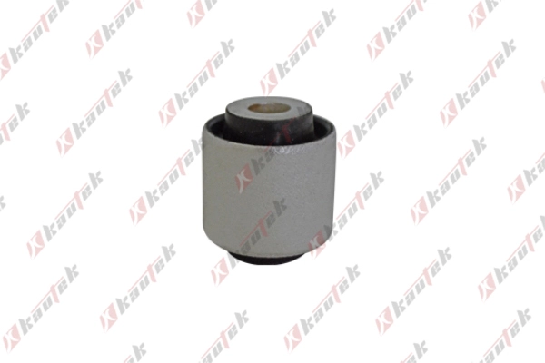 Mounting, control/trailing arm (BM-BS104)