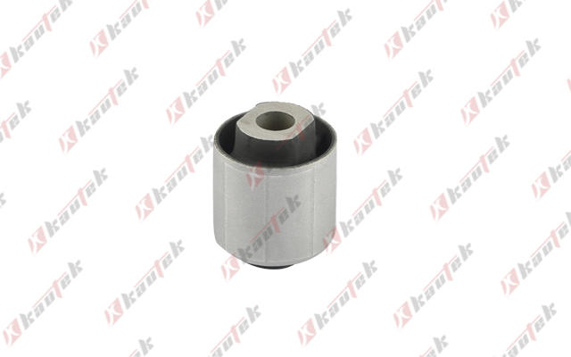 Mounting, control/trailing arm (VW-BS129)