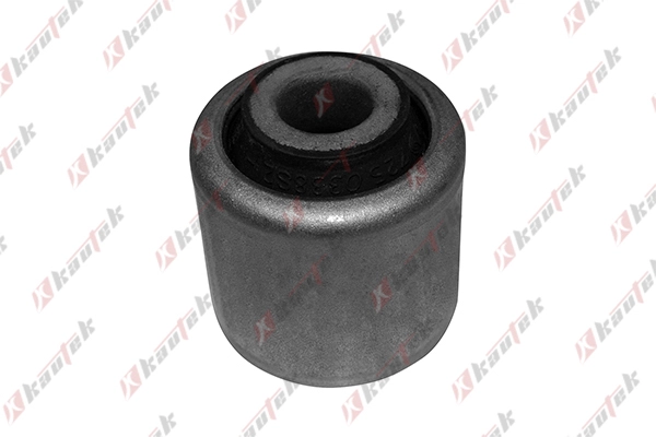 Mounting, control/trailing arm (BM-BS064)