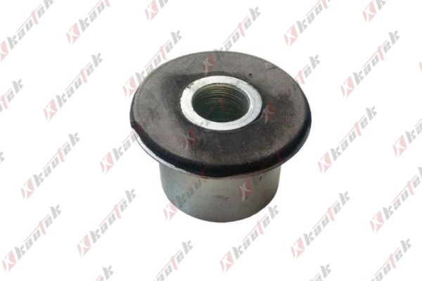 Mounting, leaf spring (IV-BS016)