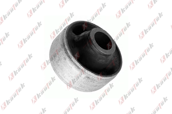 Mounting, control/trailing arm (FD-BS031)