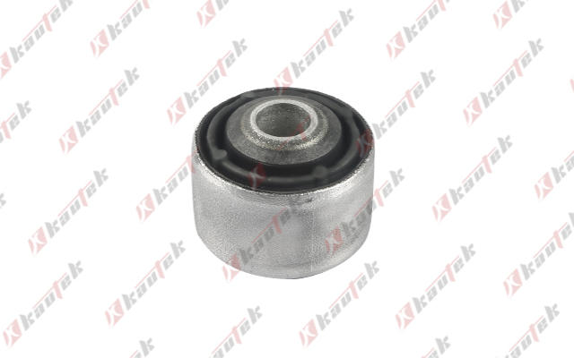 Mounting, control/trailing arm (AU-BS129)