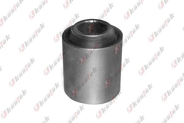 Mounting, control/trailing arm (NI-BS023)