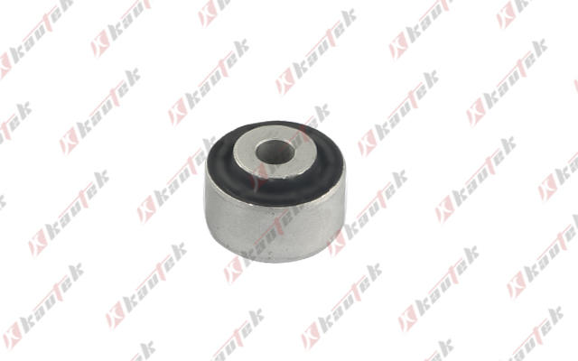 Mounting, control/trailing arm (TS-BS009)
