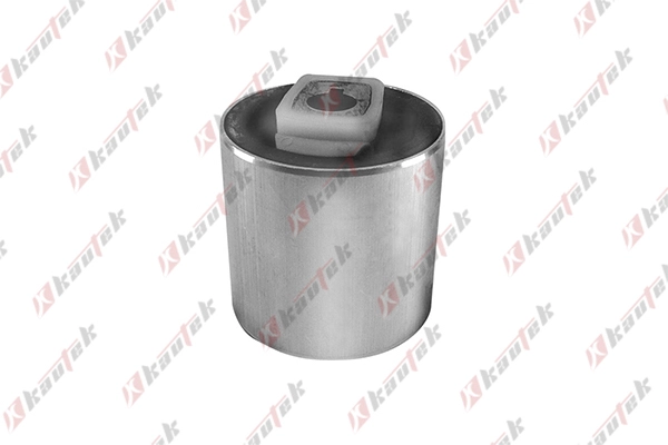 Mounting, control/trailing arm (BM-BS043)