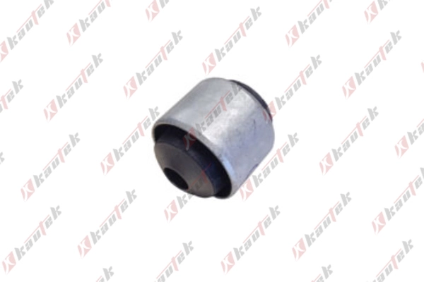 Mounting, control/trailing arm (BM-BS109)