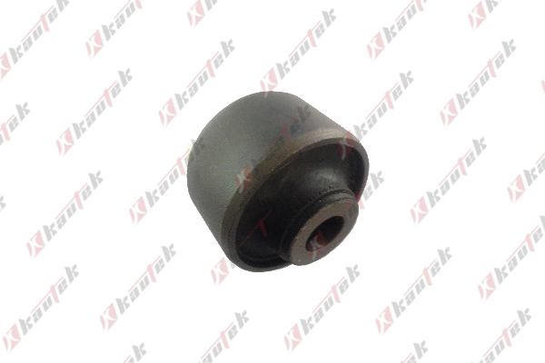 Mounting, control/trailing arm (NI-BS046)