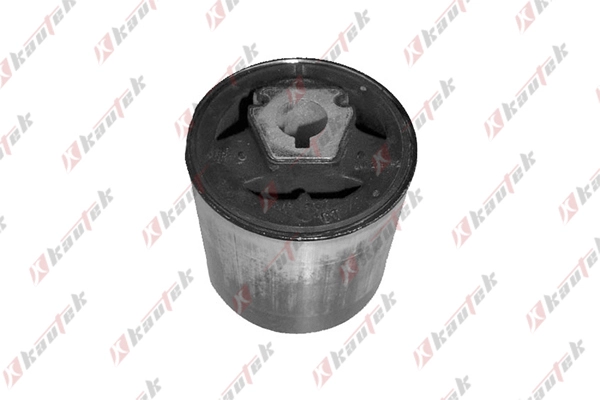 Mounting, control/trailing arm (BM-BS061)
