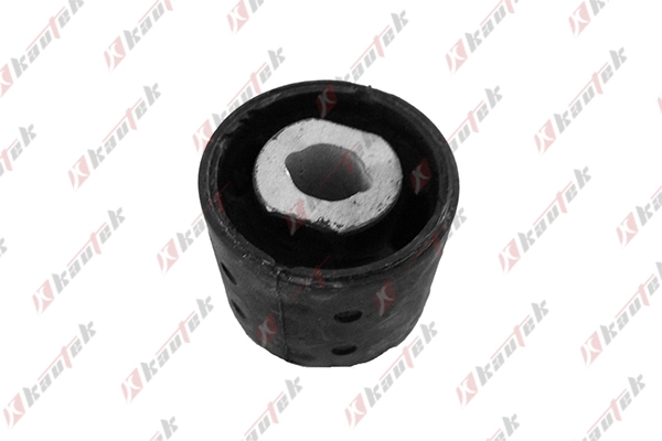 Bushing, axle bracket (BM-BS006)