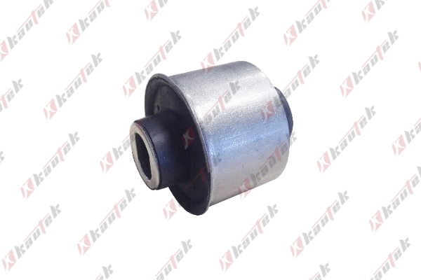 Mounting, control/trailing arm (DO-BS007)