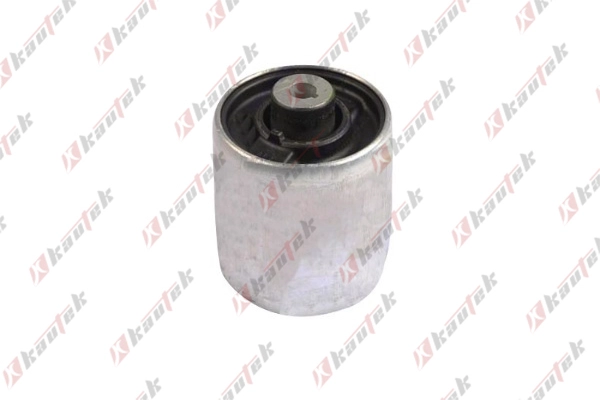 Mounting, control/trailing arm (AU-BS117)