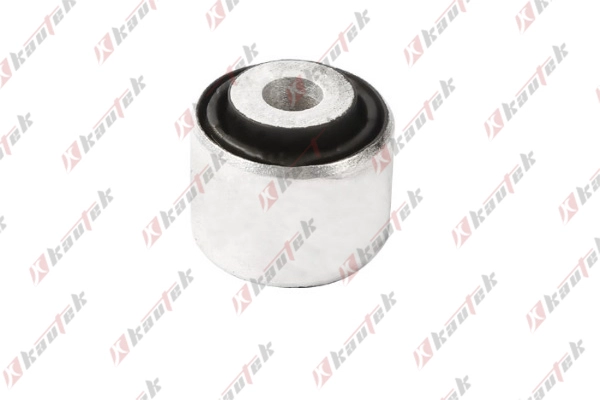 Mounting, control/trailing arm (AU-BS107)