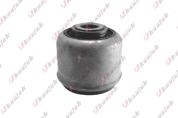 Mounting, control/trailing arm (RE-BS045)