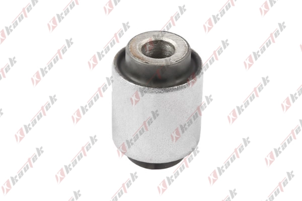 Mounting, control/trailing arm (NI-BS074)