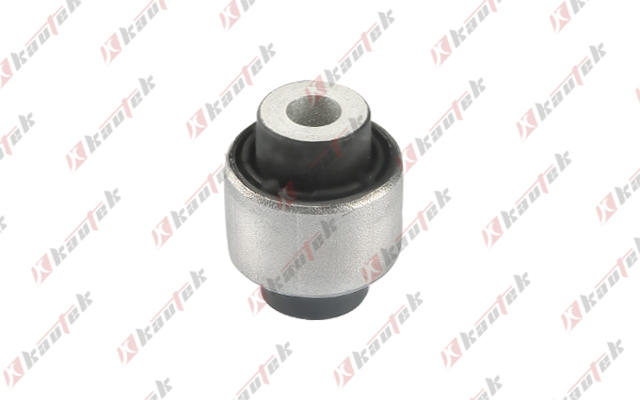 Mounting, control/trailing arm (TS-BS014)