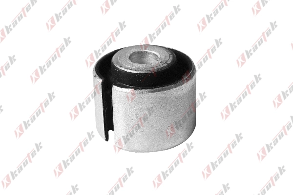 Mounting, control/trailing arm (AU-BS083)