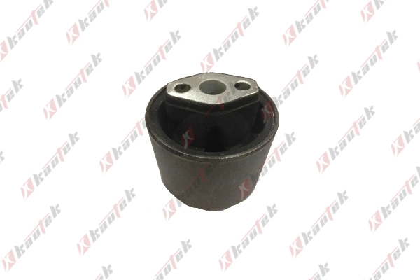 Mounting, control/trailing arm (OP-BS105)
