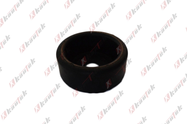 Bushing, axle bracket (FI-BS052)
