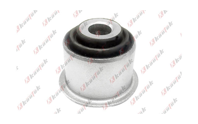 Mounting, control/trailing arm (FD-BS252)