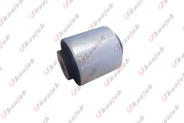 Mounting, control/trailing arm (BM-BS134)