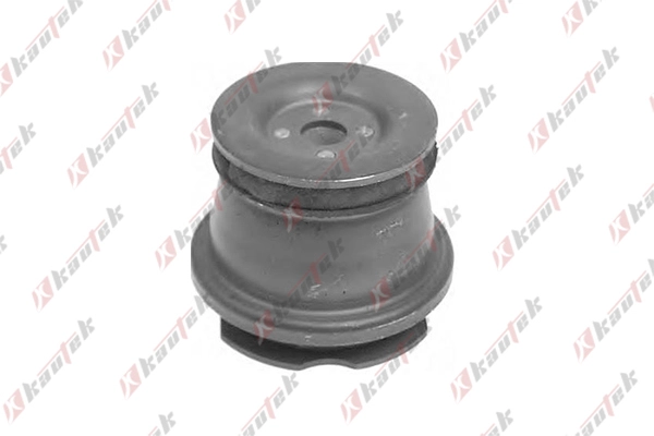 Bushing, axle bracket (FI-BS063)