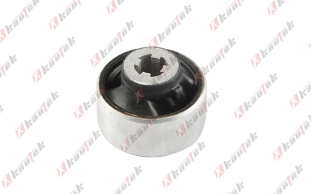 Mounting, control/trailing arm (OP-BS141)