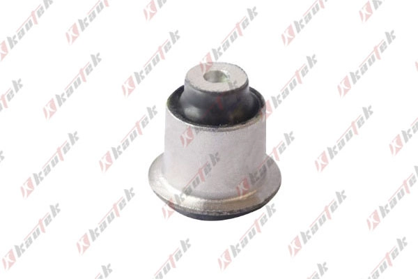 Mounting, control/trailing arm (BM-BS159)
