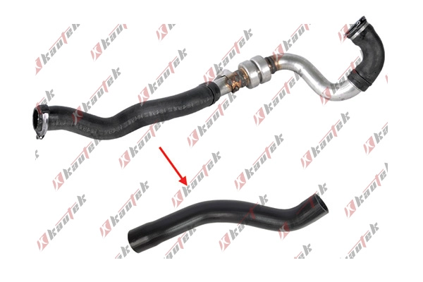 Charge Air Hose (BM-TH063)