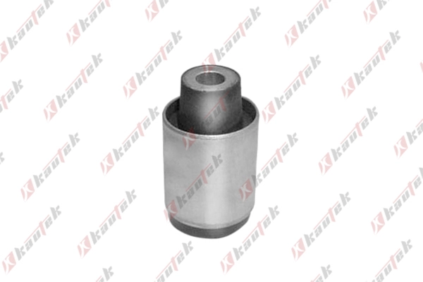 Mounting, control/trailing arm (AF-BS019)