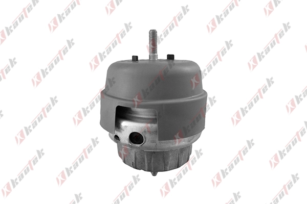 Mounting, engine (AU-EM009)