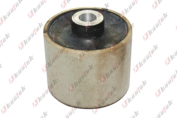 Mounting, control/trailing arm (LR-BS025)