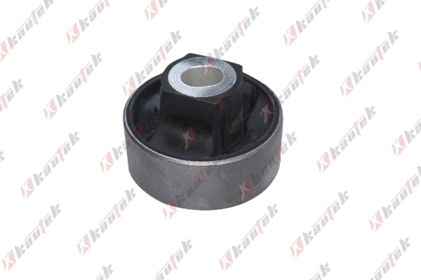 Mounting, control/trailing arm (FI-BS101)