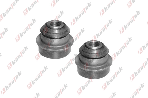 Mounting Kit, control/trailing arm mounting (NI-KT002)