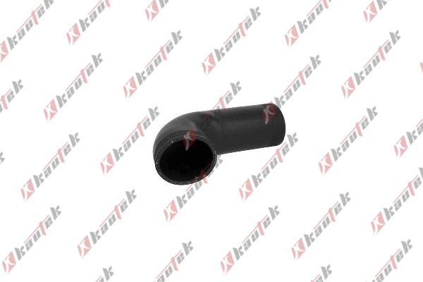 Charge Air Hose (BM-TH046)