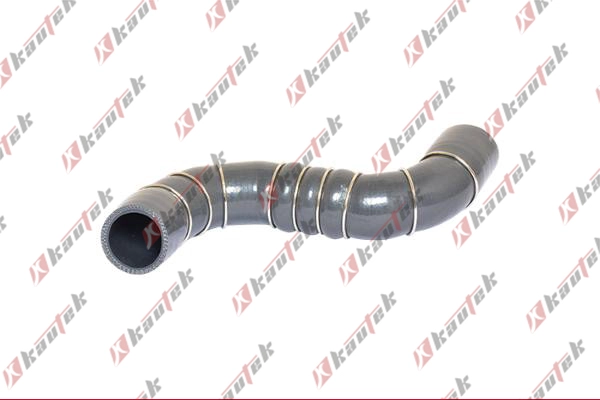 Charge Air Hose (NI-TH002)