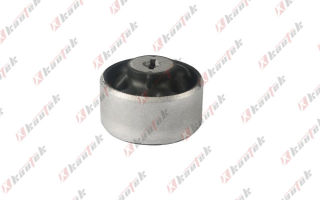 Mounting, control/trailing arm (FD-BS294)