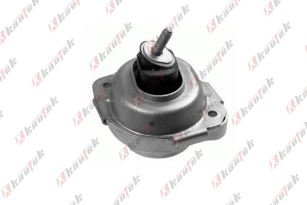 Mounting, engine (BM-EM048)