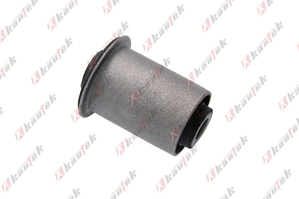 Mounting, control/trailing arm (NI-BS124)