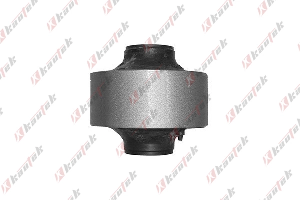 Mounting, control/trailing arm (MI-BS011)