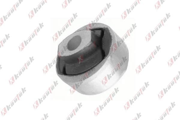 Mounting, control/trailing arm (FD-BS138)
