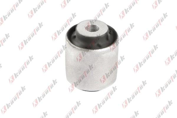 Mounting, control/trailing arm (BM-BS174)