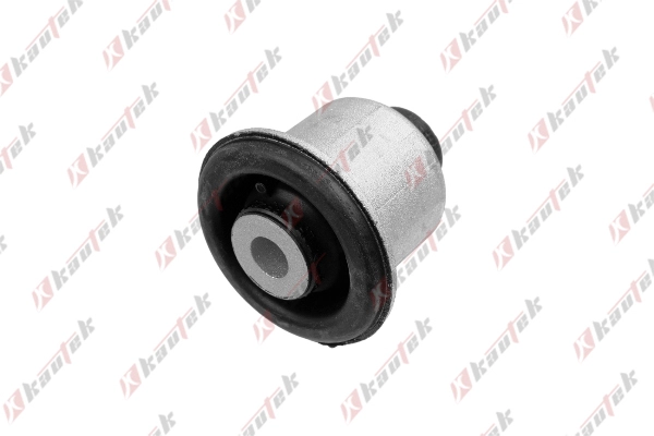 Mounting, control/trailing arm (BM-BS088)