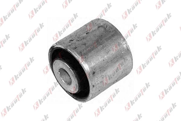 Mounting, control/trailing arm (AU-BS036)
