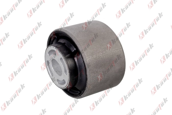 Mounting, control/trailing arm (FD-BS291)