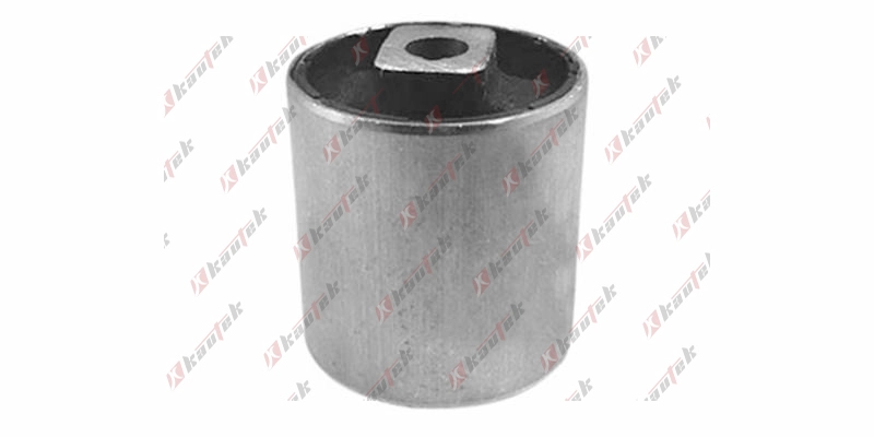 Mounting, control/trailing arm (BM-BS044)