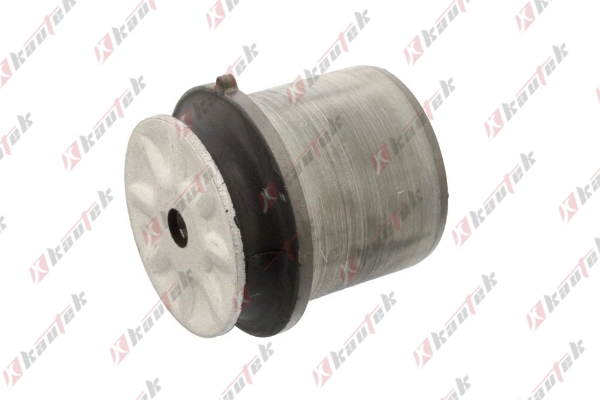 Bushing, axle bracket (AU-BS112)