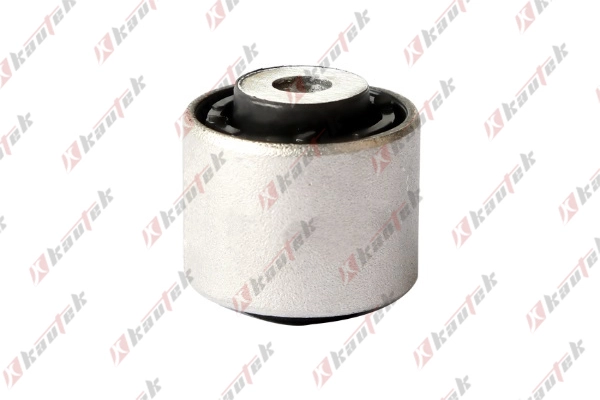 Mounting, control/trailing arm (AU-BS101)