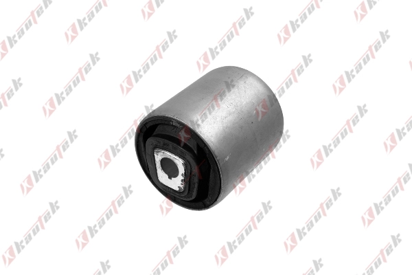 Mounting, control/trailing arm (BM-BS086)