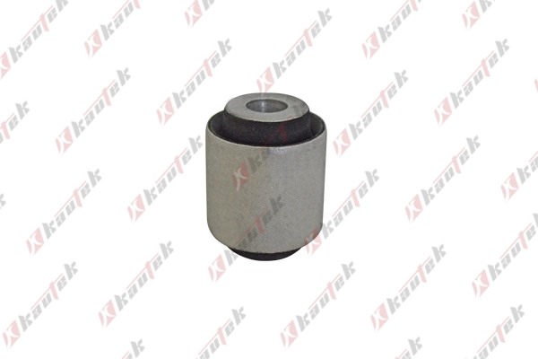 Mounting, control/trailing arm (BM-BS113)