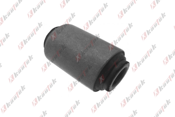 Mounting, control/trailing arm (NI-BS005)